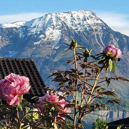 Villa Castagna Guesthouse-3